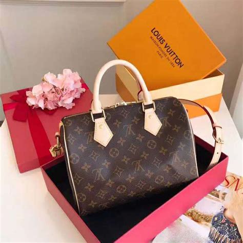 lv speedy 20 monogram